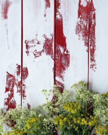 distressed photographic backdrop