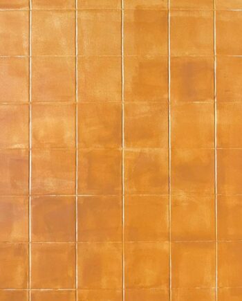 Orange tiles background "New Delhi"